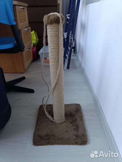Когтеточка для кошек