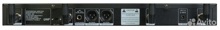 Direct Power Technology DP-220 vocal двухканальная