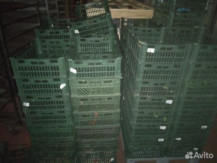 Ящик пластиковый для овощей и грибов