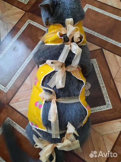 Папоны новые после операционные