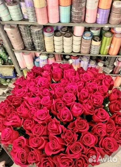 Розы Высокие 150см 160см 170см 180см 190см 2м