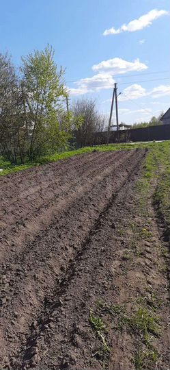 Участок 6 сот. (СНТ, ДНП)