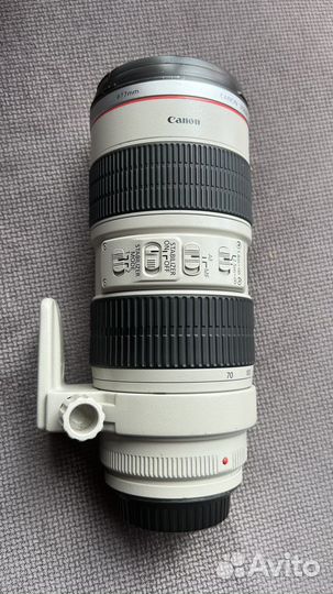 Canon EF 70-200mm f/2.8L USM