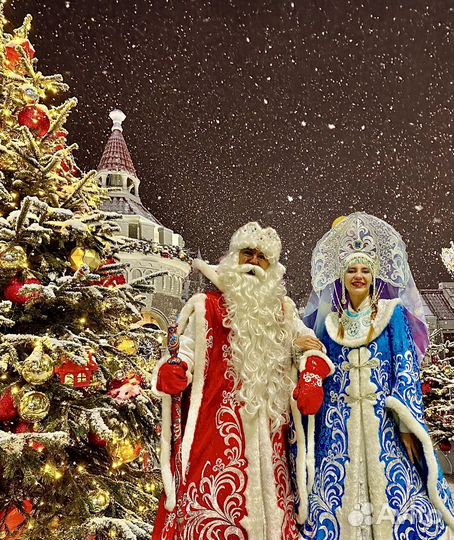 Дед Мороз и снегурочка на дом