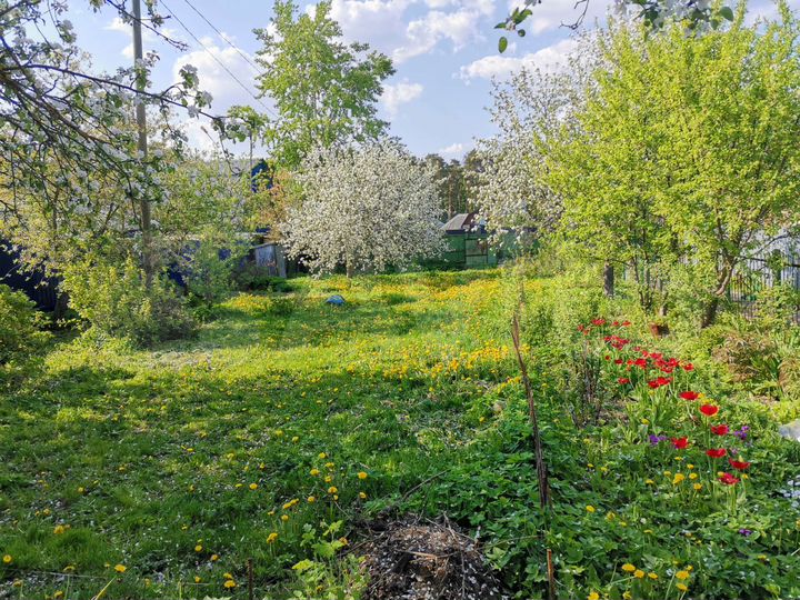 Дом 115,6 м² на участке 8 сот.