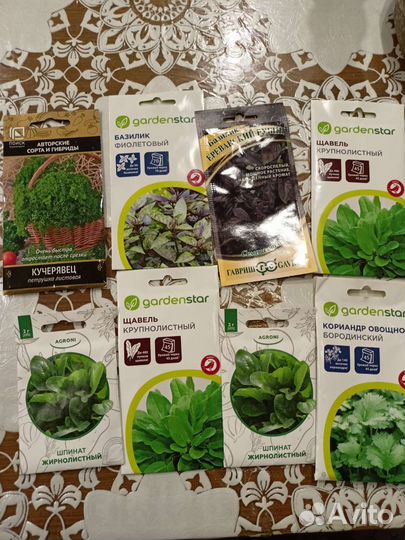 Семена Базилик горошек