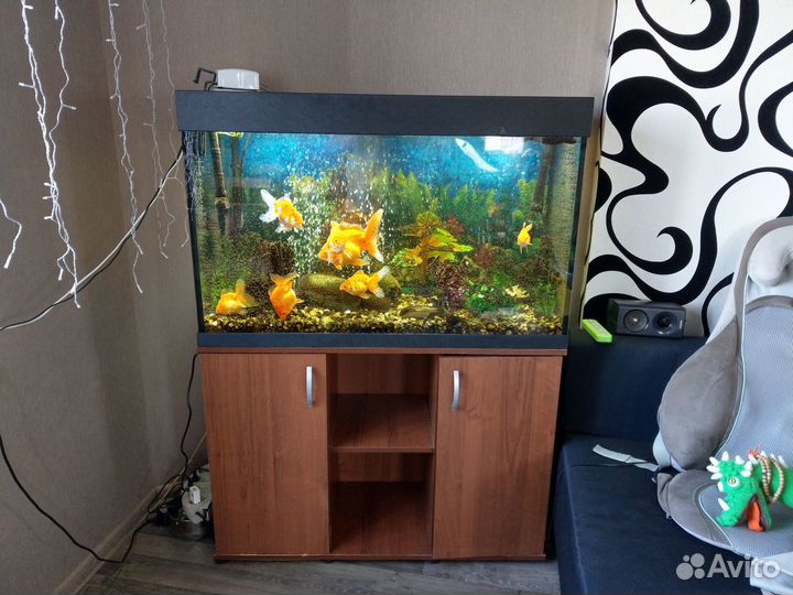 Аквариум Карон 240л. ZelAqua. + панорамный 60л