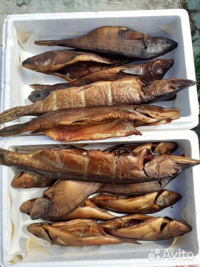 Купить Копченую рыбу