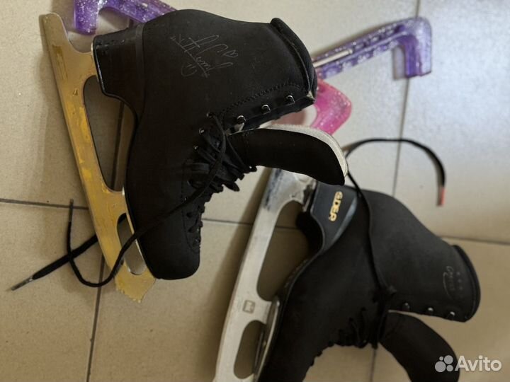 Коньки edea chorus 230