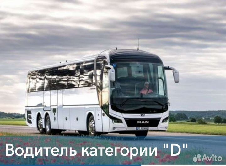 Водитель категории Д