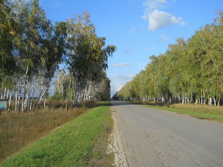 Участок 6 га (ИЖС)