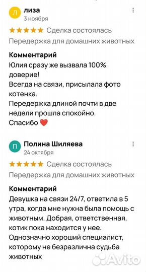 Передержка для домашних животных