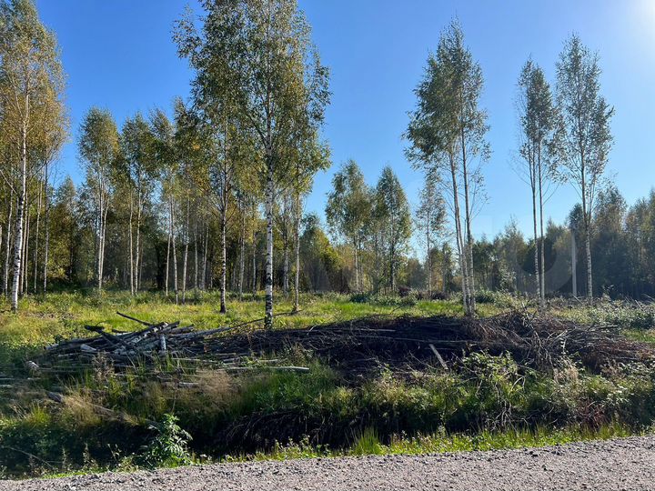 Участок 10 сот. (СНТ, ДНП)