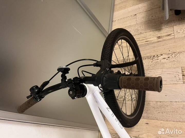 Shulz bubble race 24