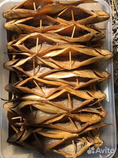 Барабуля, Ставридка, кефаль