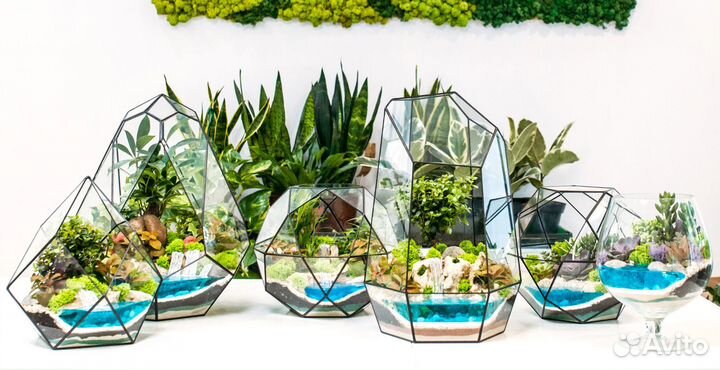 Флорариумы