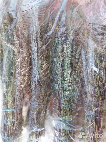 Травы и веник для бани