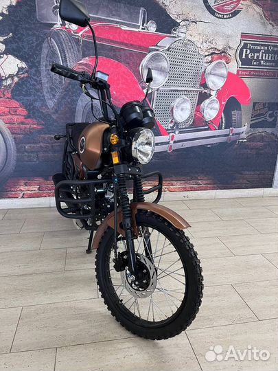 Мопед colt international (В наличии)