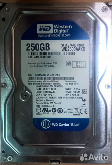HDD WD2500 Caviar Blue 250 Gb