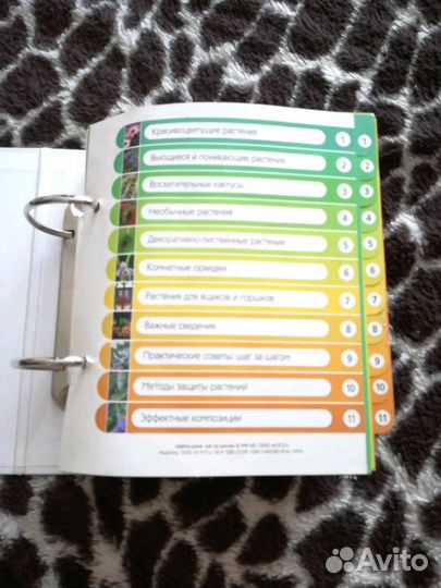 Цветы дома. Шаг за шагом