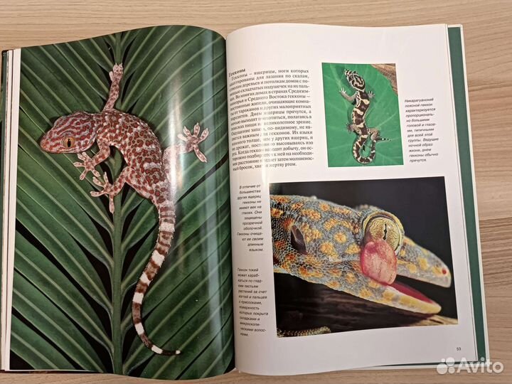 Энциклопедия змеи и рептилии