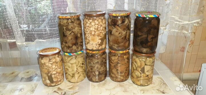 Грибы маринованные