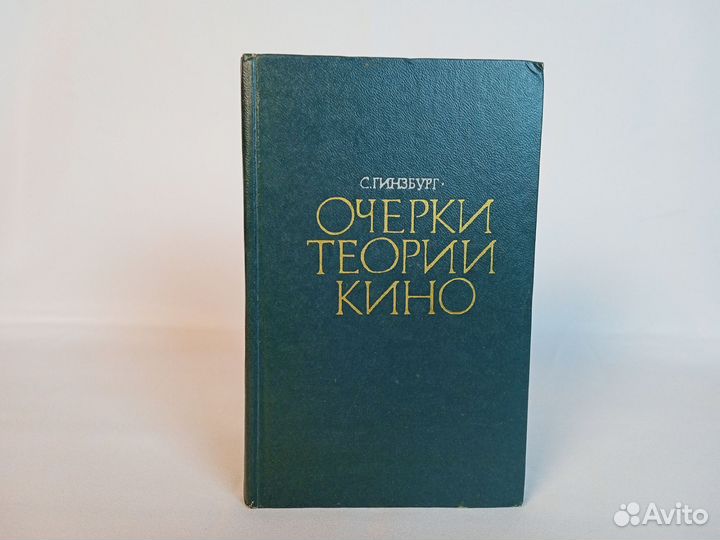 Книга С. Гинзбург