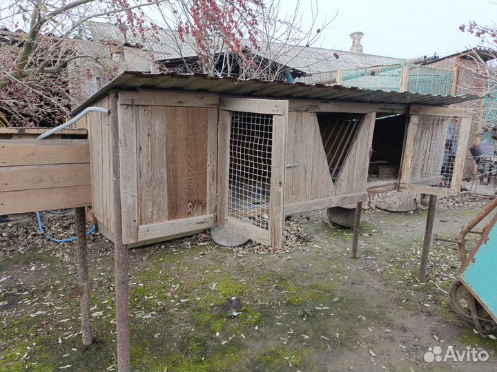 Продам крольчатник
