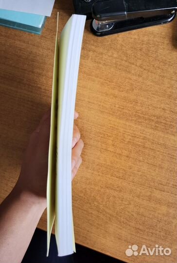 История изобразительного искусства А.Л.Филиппова