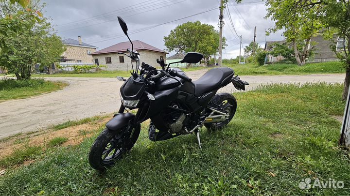 Regulmoto Alien Monster 300