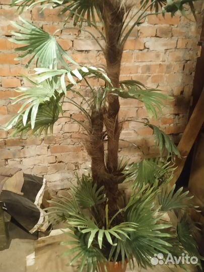 Юкка пальма искусственная