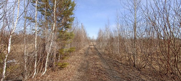 Участок 8 сот. (СНТ, ДНП)