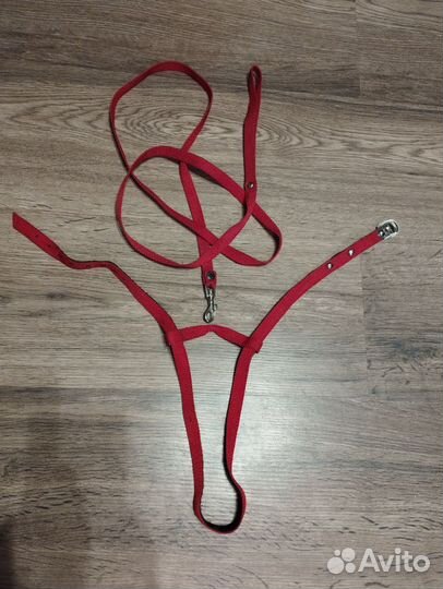 Поводок-цепь, шлейка