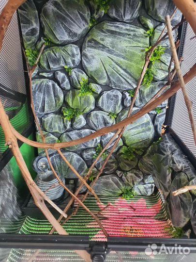 Террариум для хамелеона