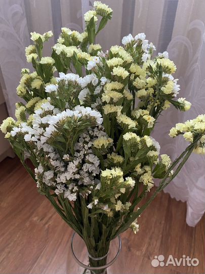 Статица сухоцвет