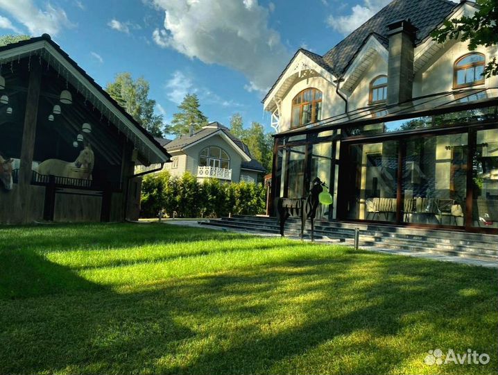 Газон в рулоне