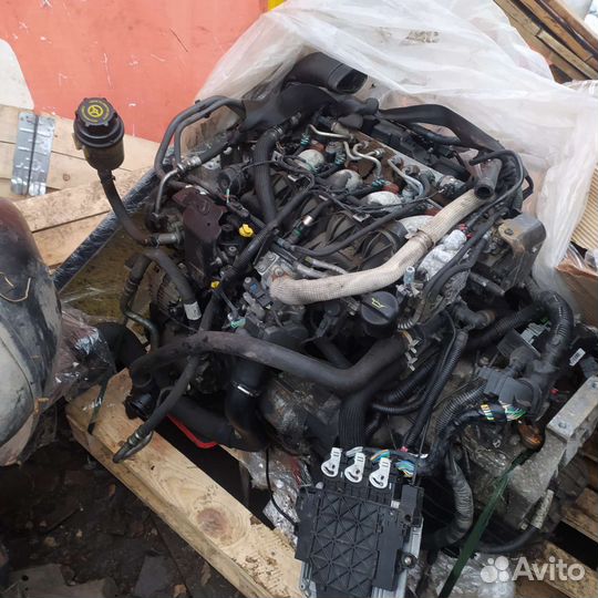 Land rover Freelander 2 двигатель мотор 224dt dw12