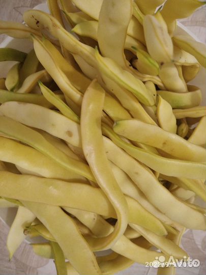 Семена овощей