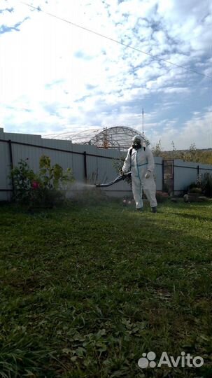 Обработка участка от борщевика, клещей