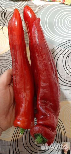 Семена перца Палермо