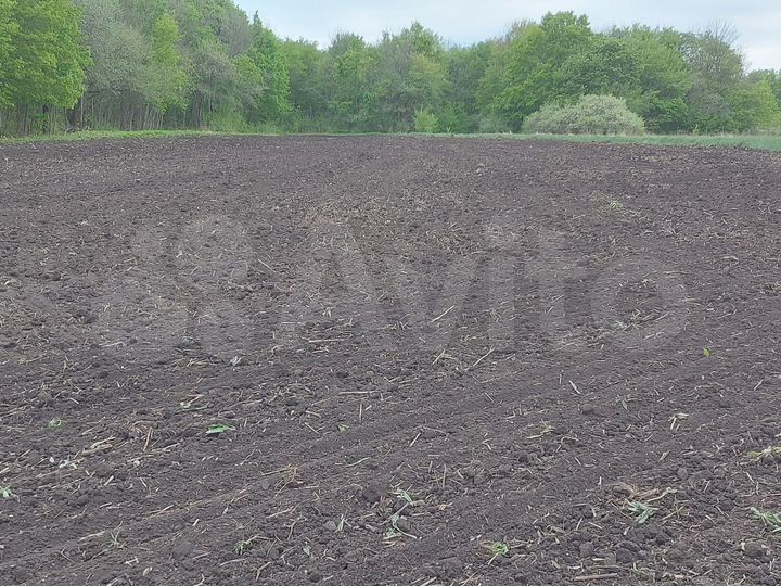 Участок 50 сот. (ИЖС)