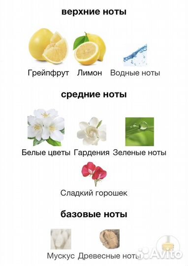 Jour d'Hermes Hermes