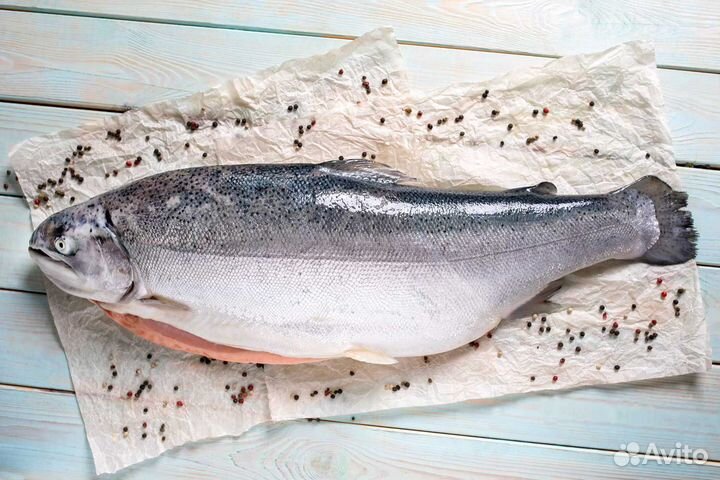 Форель охлаждённая 2023г Карелия