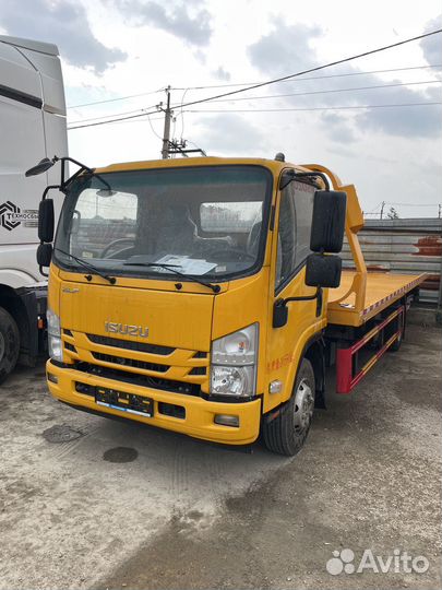 Isuzu Elf, 2024