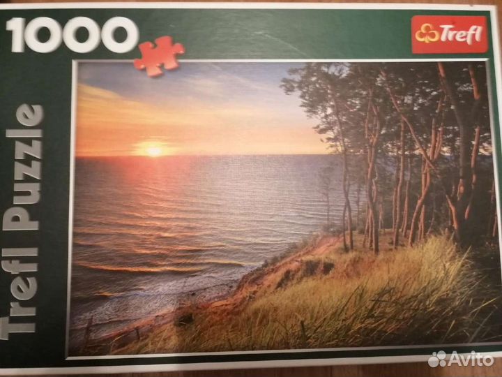 Пазлы 1000