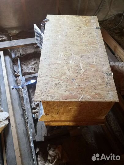 Брудер для цыплят, индюшст, утят б, у