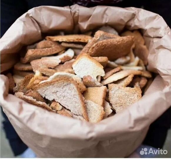 Свежий хлеб для корма животных
