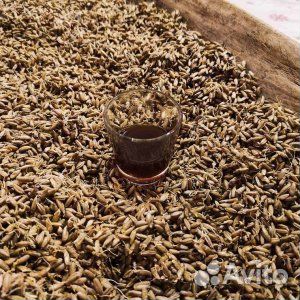 7сен24 Тур В гости к Удмуртам./хп3020