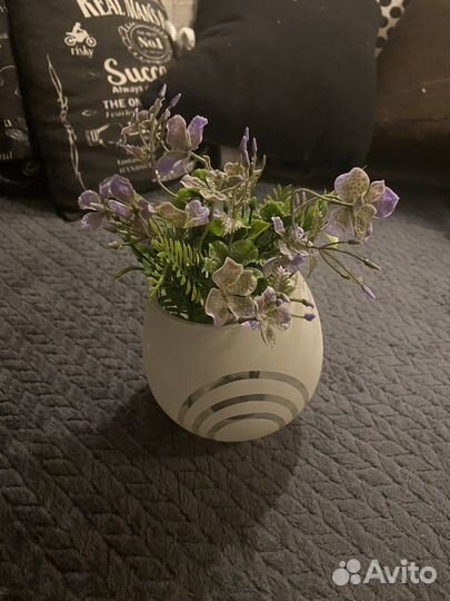 Зелень для декора