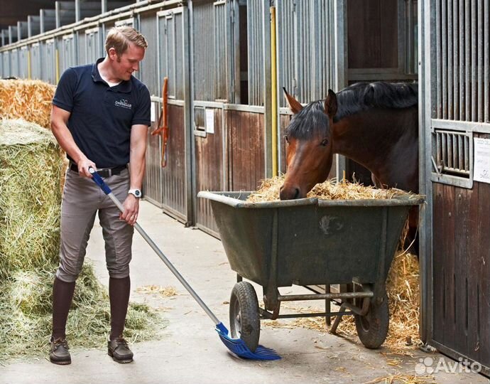 Конюх. Скотник